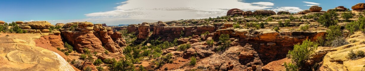 Panorama shot american nature, mesas, butters, canyons in canyonlands antional park at sunny day in Utah