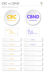 CBC vs CBND, Cannabichromene vs Cannabinodiol vertical business infographic  illustration about cannabis as herbal alternative medicine and chemical therapy, healthcare and medical science vector.