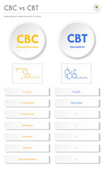 CBC vs CBT, Cannabichromene vs Cannabitriol vertical business infographic  illustration about cannabis as herbal alternative medicine and chemical therapy, healthcare and medical science vector.