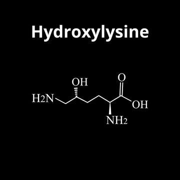 Hydroxylysine is an amino acid. Chemical molecular formula Hydroxylysine amino acid. Vector illustration on isolated background