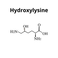 Hydroxylysine is an amino acid. Chemical molecular formula Hydroxylysine amino acid. Vector illustration on isolated background