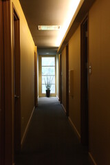 HALL WAY, YELLOW WALLS