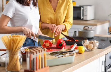 Young lesbian couple cooking dinner in kitchen
