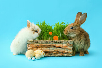 Cute rabbit, basket with green grass and Easter eggs on color background