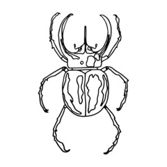 spider on a white background