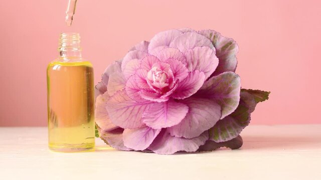 Flower cosmetic oil, drips into a glass container from a pipette.