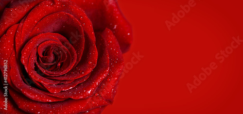 2 x Heart Stickers 15 cm Red Rose Macro Shot Water Droplets  #16707 