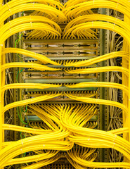 Netzwerkswitch mit RJ45 Netzwerkkabel in einem Rechenzentrum