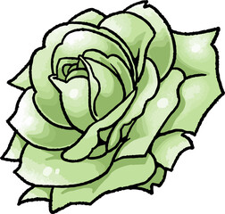 【手描きベクターイラスト素材】緑の薔薇のイラスト