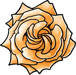 【手描きベクターイラスト素材】オレンジ色の薔薇のイラスト