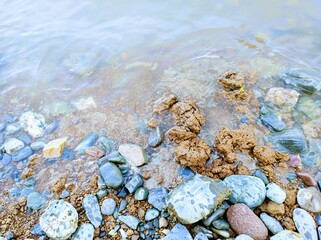 stones on the beach