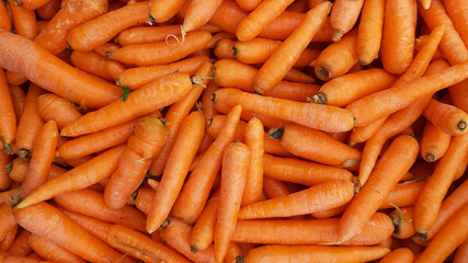 Organic carrots background. Stack of fresh carrots at the market and popular cooking vegetable or fruit