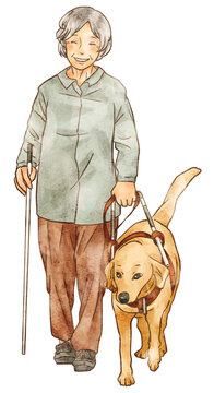 746 Best 盲導犬 Images Stock Photos Vectors Adobe Stock