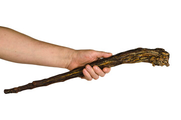 Men's Hand demonstrates Dried beef tail. Chews treats for dogs.