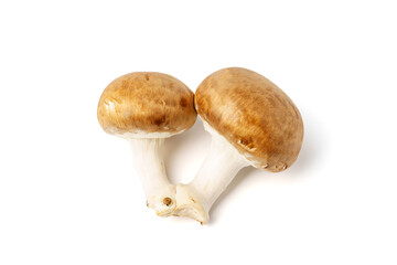Two brown mushrooms, isolated on a white background.