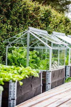 Boxed raised vegetable garden on pallet collar with fitted glass greenhouse on top