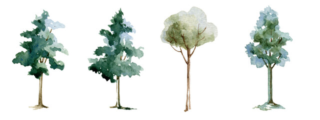 Fototapeta premium Green tree watercolor illustration set. Maple, linden, birch trees. Hand drawn leafy and evergreen tree element collection. Green forest and garden single images on white background.