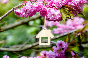  house symbol against the background of blossoming Sakura
