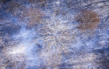 Winter, Landschaft, Frost und Schnee