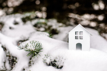 symbol of the house stands on a snow-covered fir branches