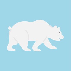 Polar bear with white fur. Hand drawn vector illustration isolated on white background.