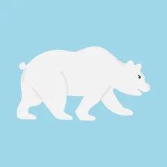 Foto op Canvas Polar bear with white fur. Hand drawn vector illustration isolated on white background. © Анастасия Красавина