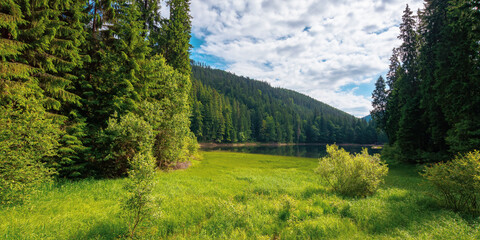 mountain lake landscape in summer. beautiful scenery of synevyr national park, ukraine. body of water among the forest. great view and amazing attarction of carpathian nature. travel europe concept