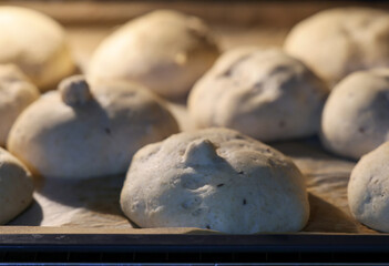 raw rolls ready to be baked in the oven