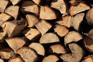  stack of firewood prepared for winter