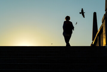 Frei wie ein Vogel der Sonne entgegen