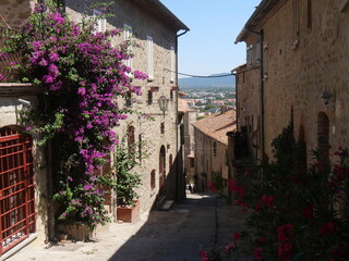 Plakat Typical medieval street of Castiglione della Pescaia, squeezed between the houses covered with flowers and vegetation.