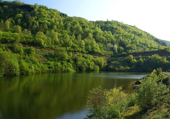 A photo of a nature. There is a forest near lake which has a reflection of the trees on it under the blue sky.