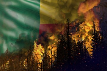 Forest fire natural disaster concept - burning fire in the woods on Benin flag background - 3D illustration of nature