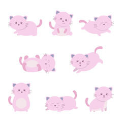 Pink Cat Kitten Various Poses Cartoon Character Set