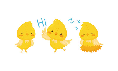 Yellow Chick Sleeping in Nest and Greeting Vector Set