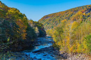 渓谷に流れる川