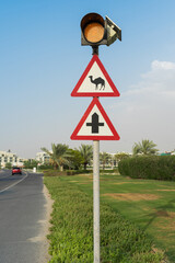 Beware of camels, crossing the road.  Road sign in UAE