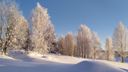 Here is a winter landscape under the rays of the evening sun. February, 09. 2021.
