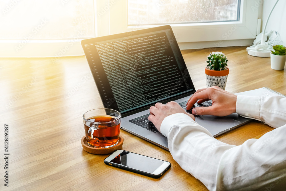 Canvas Prints a male programmer works in front of a laptop screen in a bright office or remotely from home. workpl