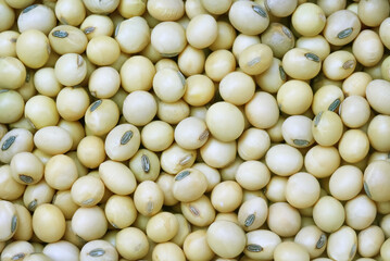 Soy bean top view food background