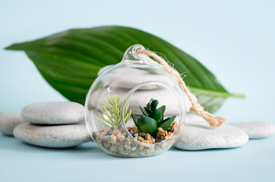 Small modern decorative glass open terrarium bauble for plants on blue background with stacked zen stones and palm leaf, copy space.