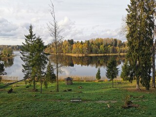 The autumn forest panoramic view