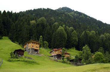 A hill view from the Black Sea Region, Turkey. It has a wooden house surrounded by the nature in its foothill. Turkey is very rich about vegetation because of its climate. 