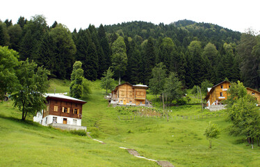 A hill view from the Black Sea Region, Turkey. It has a wooden house surrounded by the nature in its foothill. Turkey is very rich about vegetation because of its climate. 