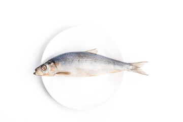 Fototapeta premium fresh herring on plate, white background