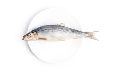 fresh herring on plate, white background