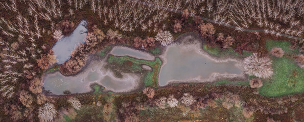 Aerial top view panoramic photo of pond and forest in winter with birds in water