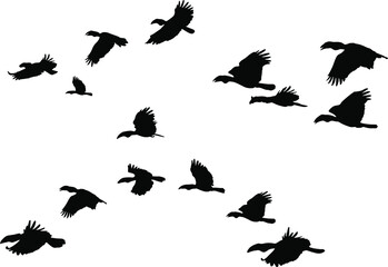 Obraz premium A Flock of Flying Wreathed hornbill Birds. Vector