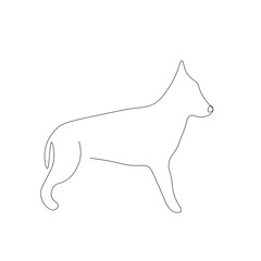 Dog on white background, vector illustration