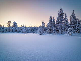 Winter arctic landscape. Winter forest in Paanajärvi National Park. Russia, Republic of Karelia